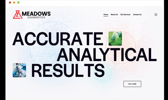 Meadows Lab website by Saintcode